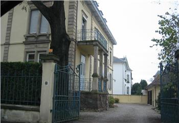 Location bureau Colmar (68000) - 174 m² à Colmar - 68000