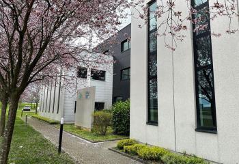 Location bureau Entzheim (67960) - 1082 m² à Entzheim - 67960