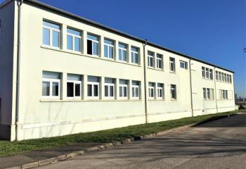 Location bureau Entzheim (67960) - 158 m² à Entzheim - 67960