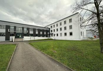 Location bureau Entzheim (67960) - 296 m² à Entzheim - 67960