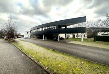 Location bureau Entzheim (67960) - 299 m² à Entzheim - 67960