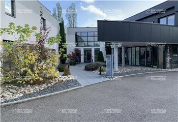 Location bureau Entzheim (67960) - 485 m² à Entzheim - 67960