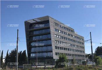 Location bureau Montpellier (34070) - 177 m² à Montpellier - 34000