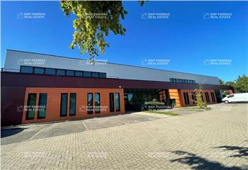 Location bureau Schiltigheim (67300) - 699 m² à Schiltigheim - 67300