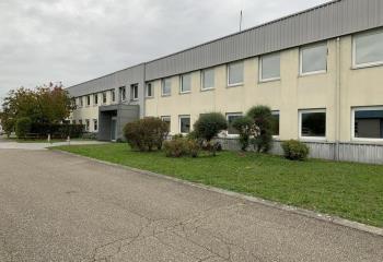 Location bureau Strasbourg (67000) - 1000 m² à Strasbourg - 67000