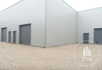 Location activité/entrepôt Hyères (83400) - 300 m²