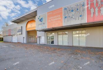 Location activité/entrepôt Palaiseau (91120) - 293 m² à Palaiseau - 91120