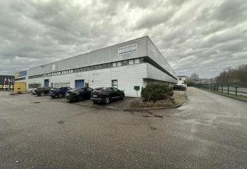 Activité/Entrepôt à vendre Illkirch-Graffenstaden (67400) - 385 m² à Illkirch-Graffenstaden - 67400