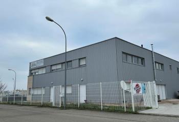 Activité/Entrepôt à vendre Rosheim (67560) - 825 m² à Rosheim - 67560