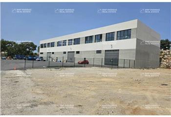 Activité/Entrepôt à vendre Vendargues (34740) - 600 m² à Vendargues - 34740